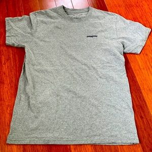 Patagonia mens tshirt